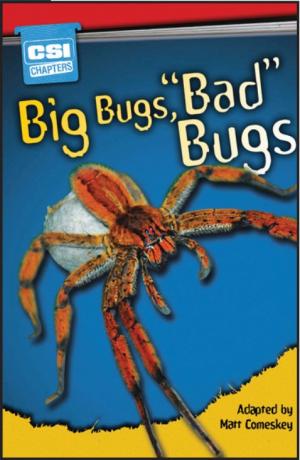 Non-fiction Graded Reader: Big Bugs, "Bad" Bugs